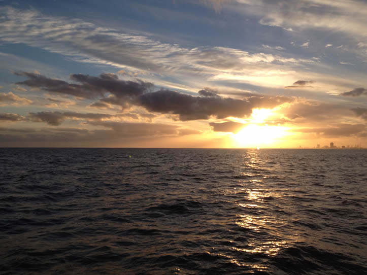 chartered fishing trip galveston