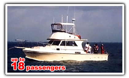 galveston charter fishing trips